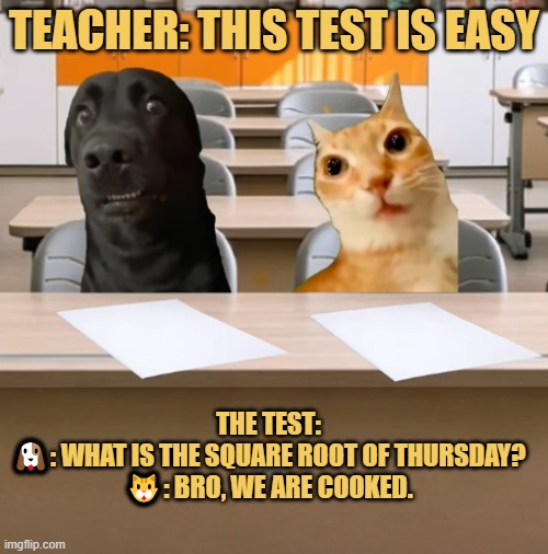 teachers are liars meme
