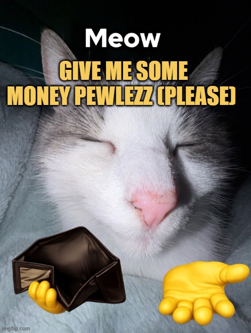 need some money : ) meme