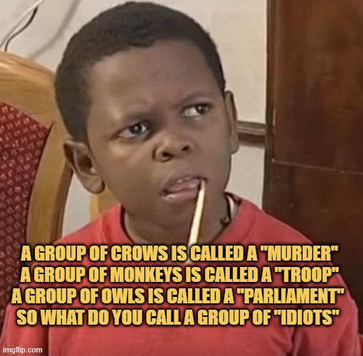 What are the idiots?