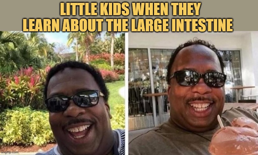 everything is funny in their pov