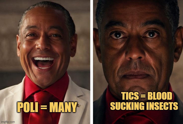 YOU KNOW WHY ITS CALLED 
