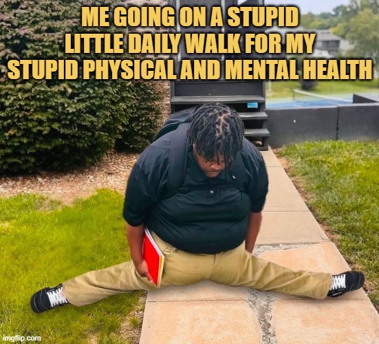 but i tripped meme