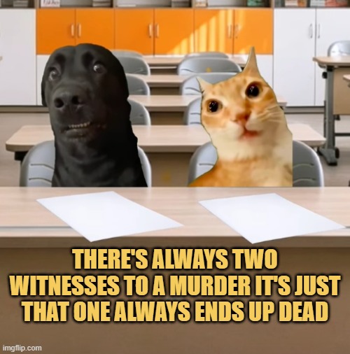 amazing fact meme