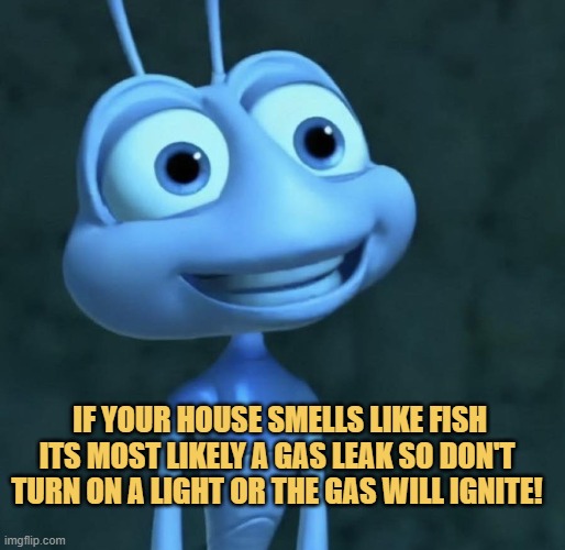 always remember meme