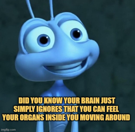 did you know? meme