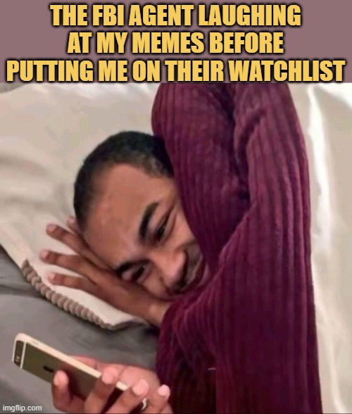 The meme criminal