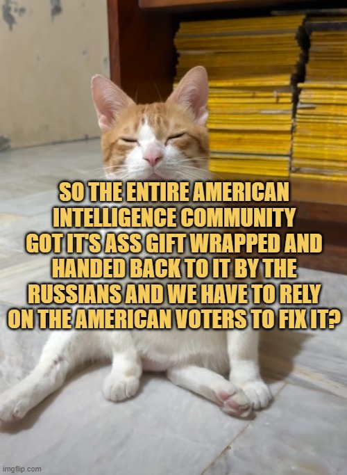 american intelligence theory meme