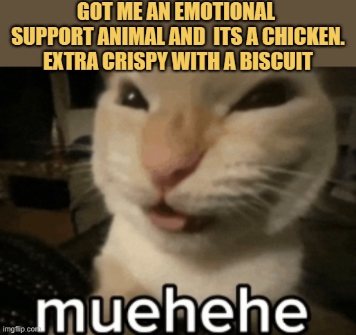 Emotionally supportive animal