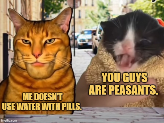 swallowing pills meme