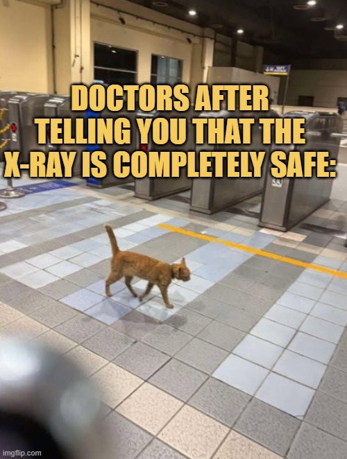 They walk away