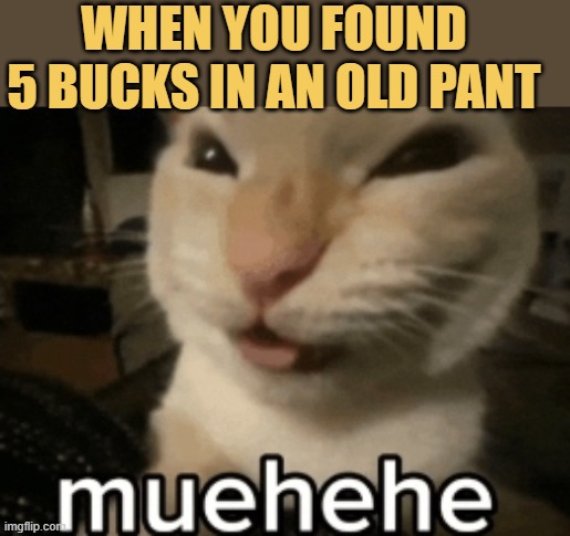 i am rich meme