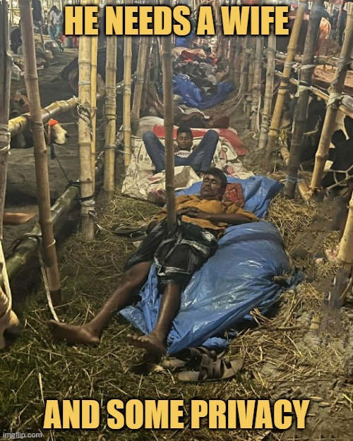 He needs habibiti meme