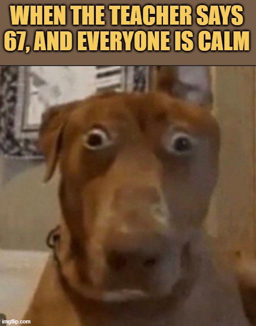 why aren't yall gone mad meme
