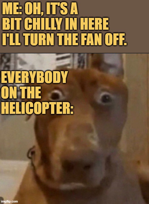 have a nice flight meme