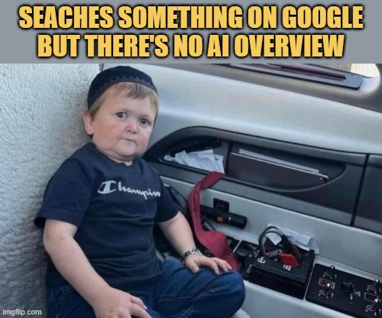 google search meme
