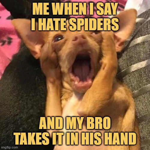 and my bro takes it in his hand.jfif