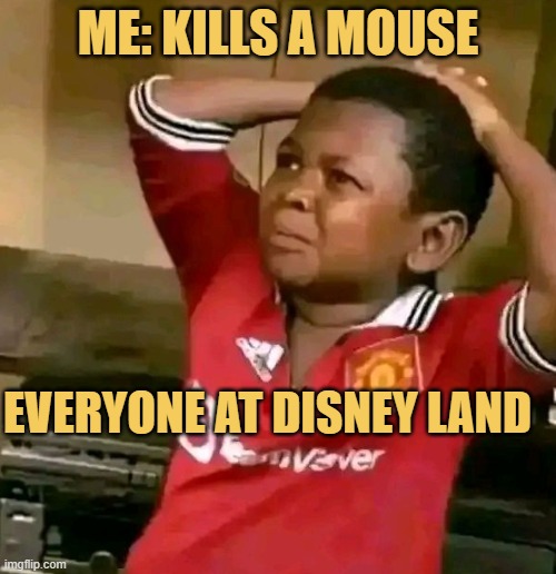 killed a mouse in disney land meme