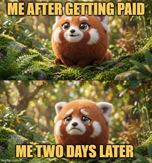 this is my life meme