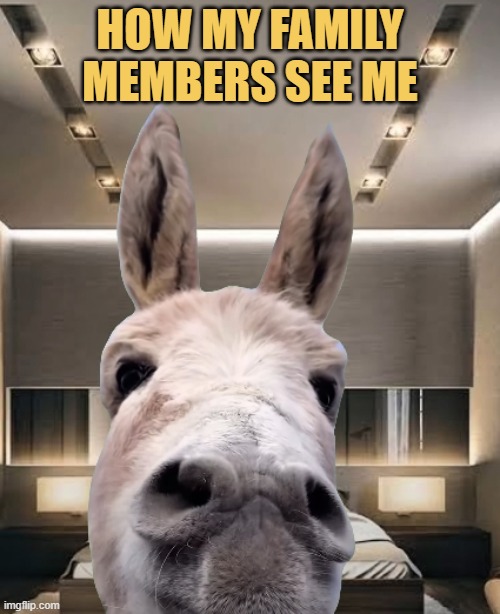 As a donkey