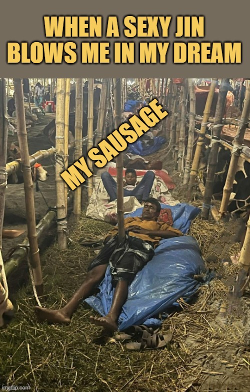 I have a big sausage  meme