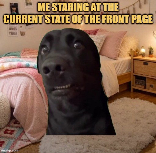 Weird memes