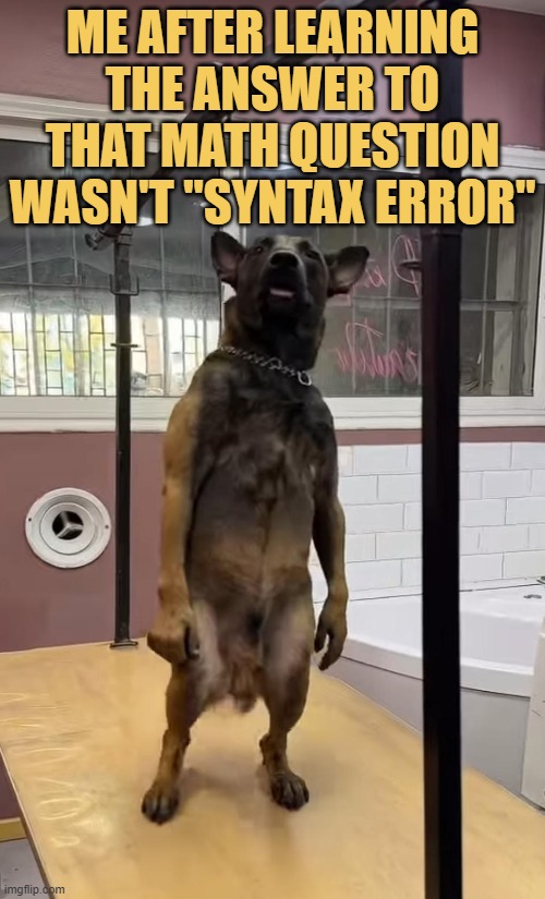 syntax error meme