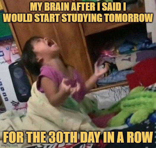 MY BRAIN AFTER I SAID I WOULD START STUDYING TOMORROW.jfif
