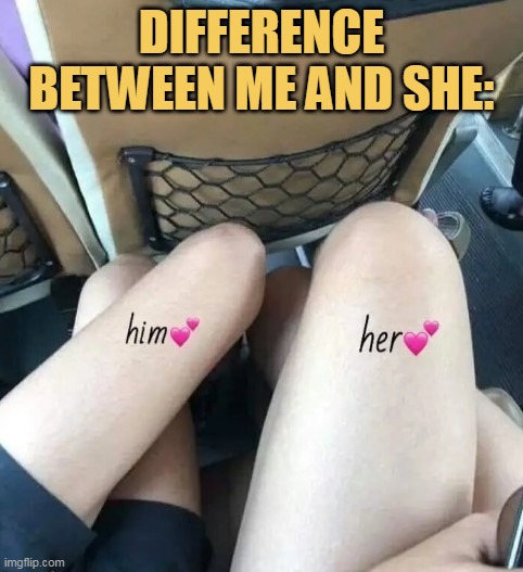 me and she meme