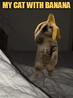 he loves banana meme