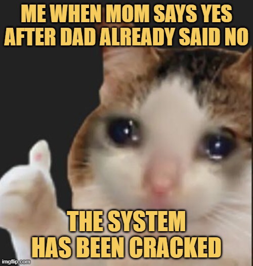 THE SYSTEM HAS BEEN CRACKED.jfif