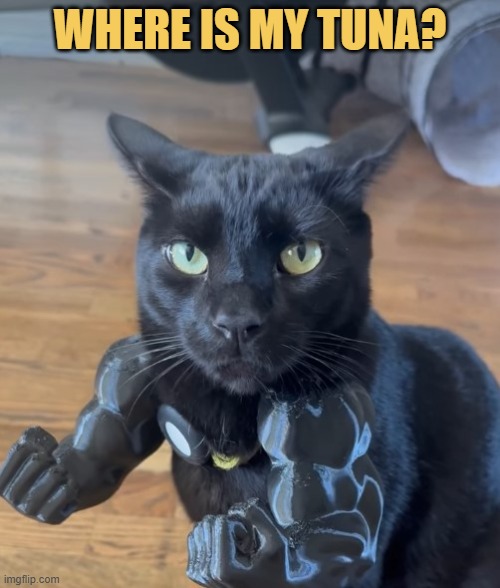 Don't mess with me