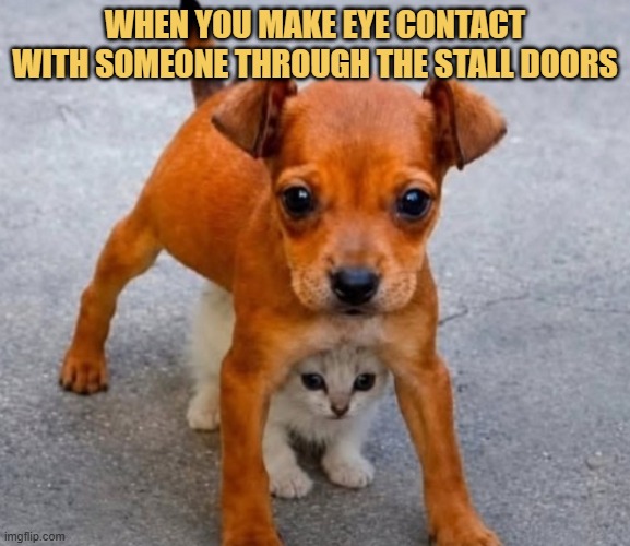 stall doors meme