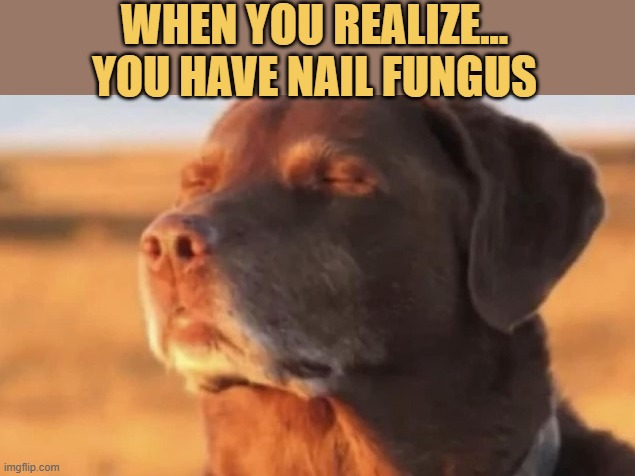 need treatment meme