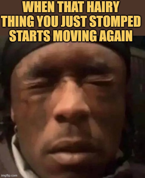 what was that meme