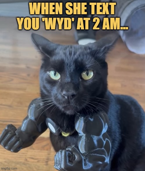 Wait princess. I am coming