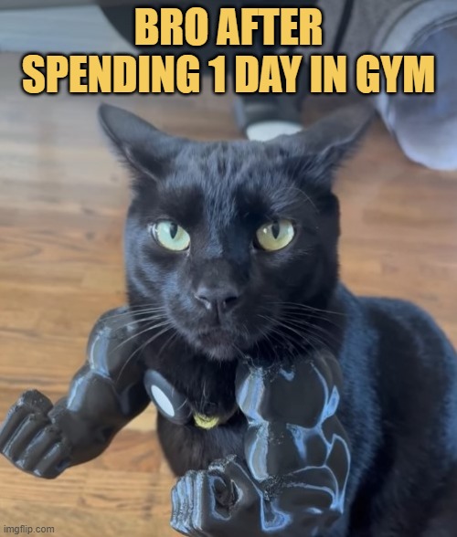 First day in gym