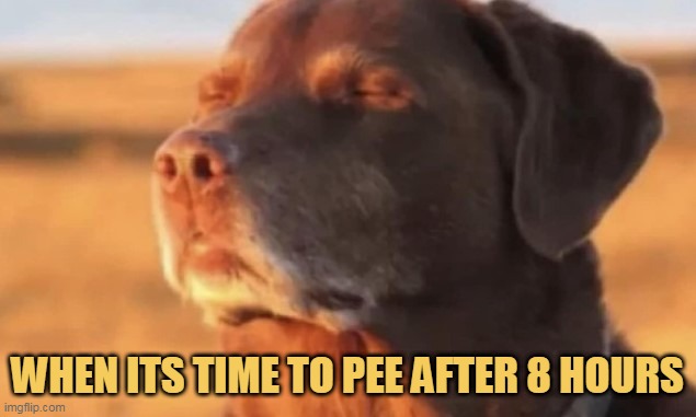 So good to pee!