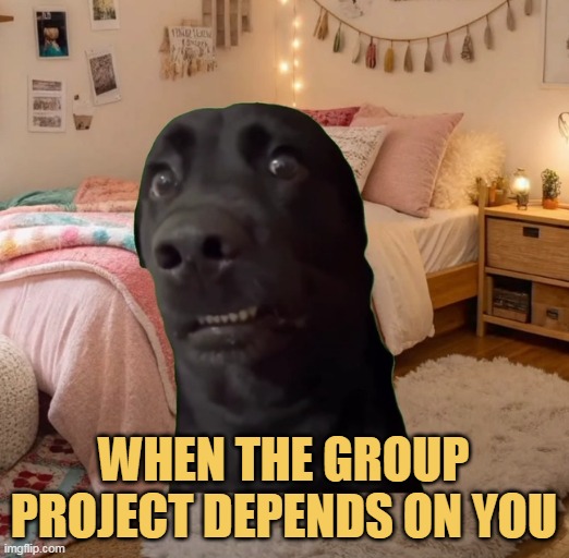 it very shockable meme