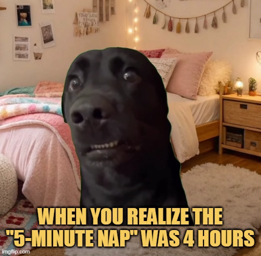 its not possible!!!! meme