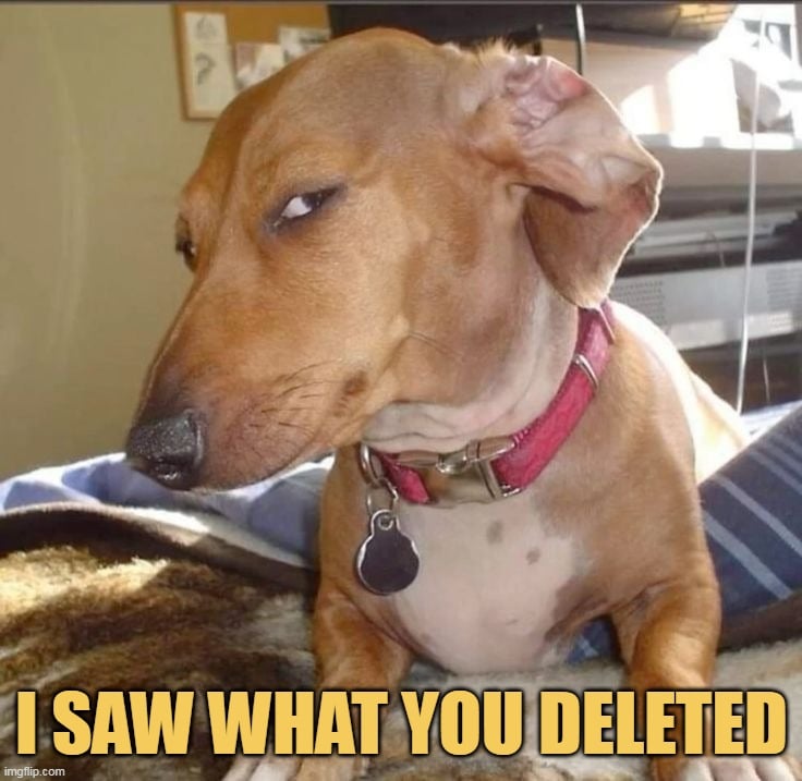 i already saw your history meme