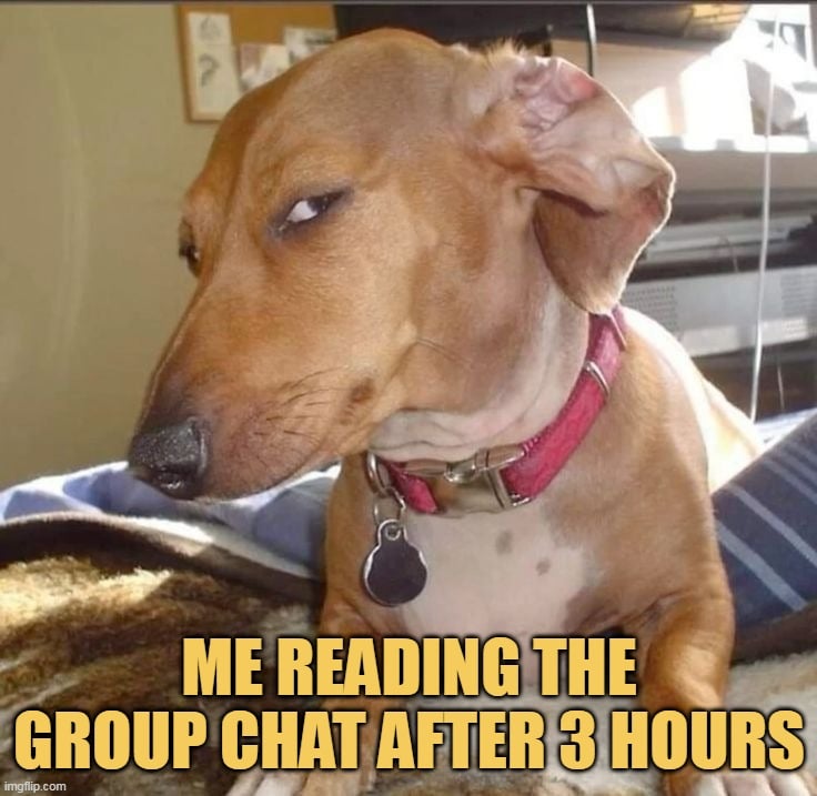 i miss all the drama meme
