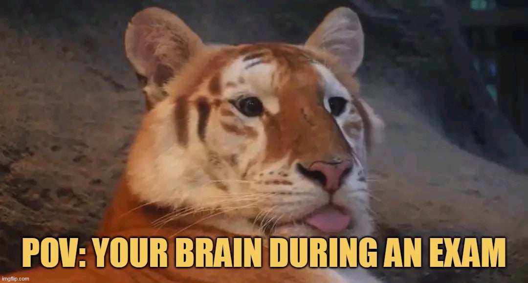 my brain is empty meme