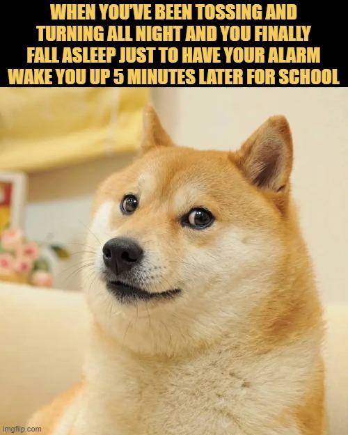 no time left for sleep meme
