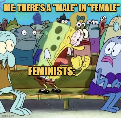 triggering feminists meme
