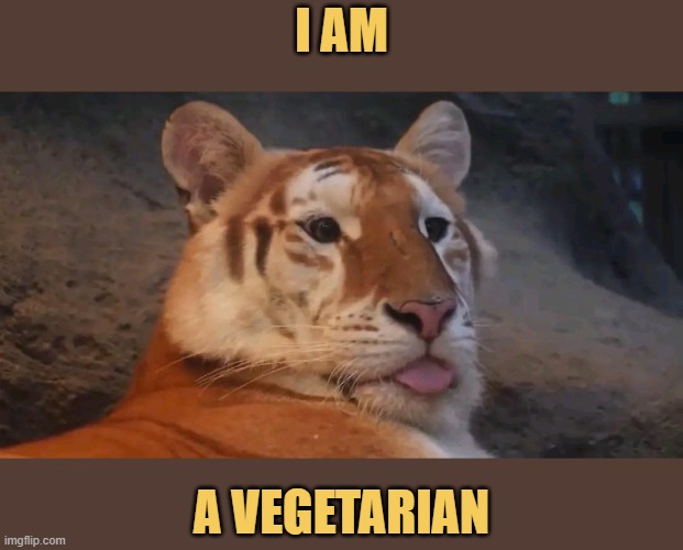 Don't worry, I don't hurt ...