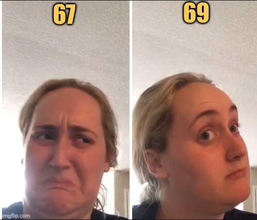 adults prefer 69 meme