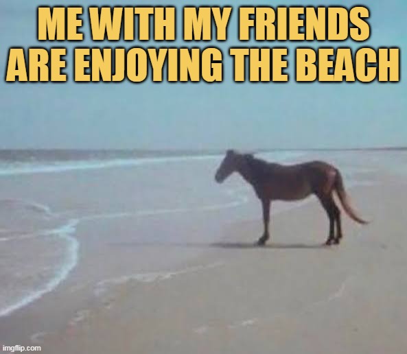 We are enjoying so much