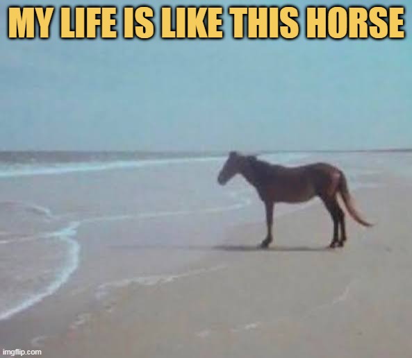 no one is with me