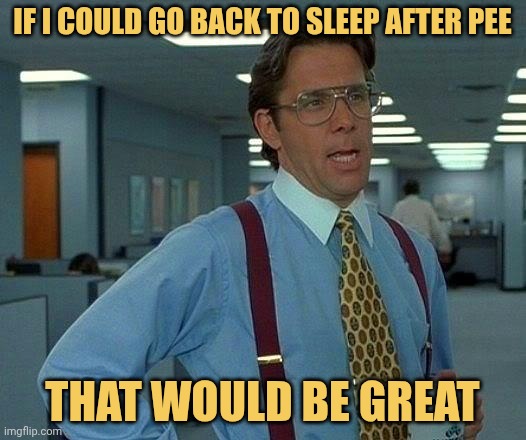 i would love that if i don't have to pee after sleeping in bed meme