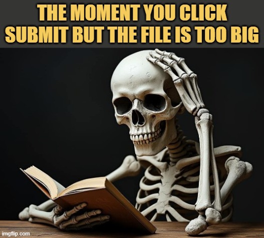 file is big meme